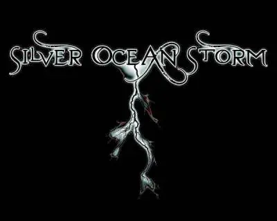 logo Silver Ocean Storm